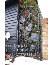 Small wrought iron courtyard gates